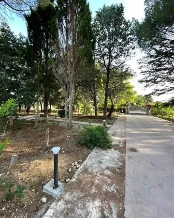 A Pochi Passi Dal Mare Bed & Breakfast