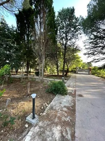 A Pochi Passi Dal Mare Bed & Breakfast